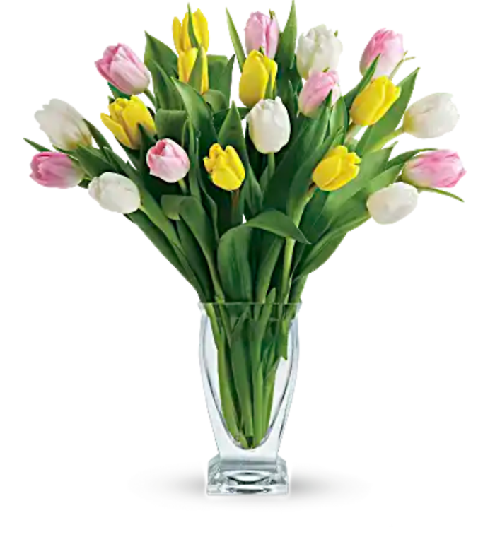 Tulip Treasure
