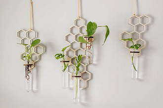 Honeycomb Propagation Station
