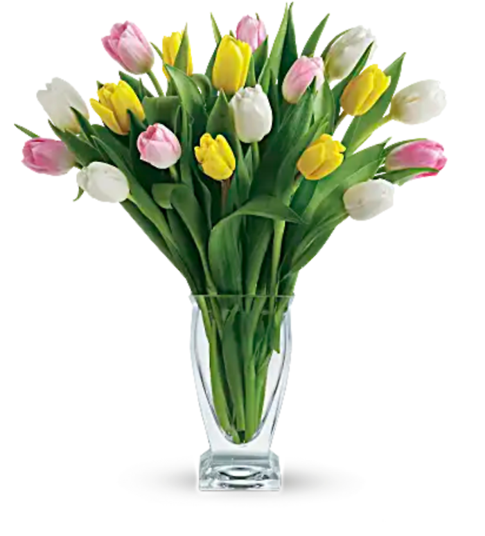 Tulip Treasure