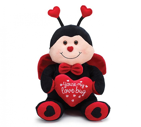 You\'re My Lovebug Ladybug