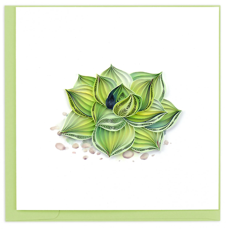 Quilled Succulent Card