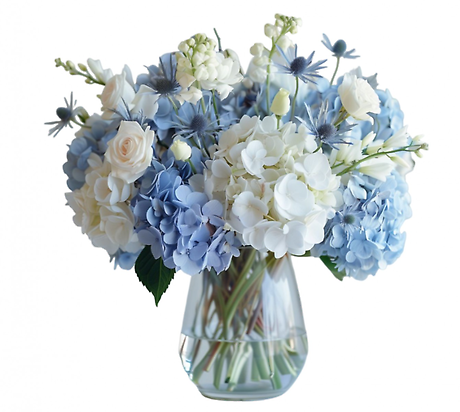 Summer Hydrangea