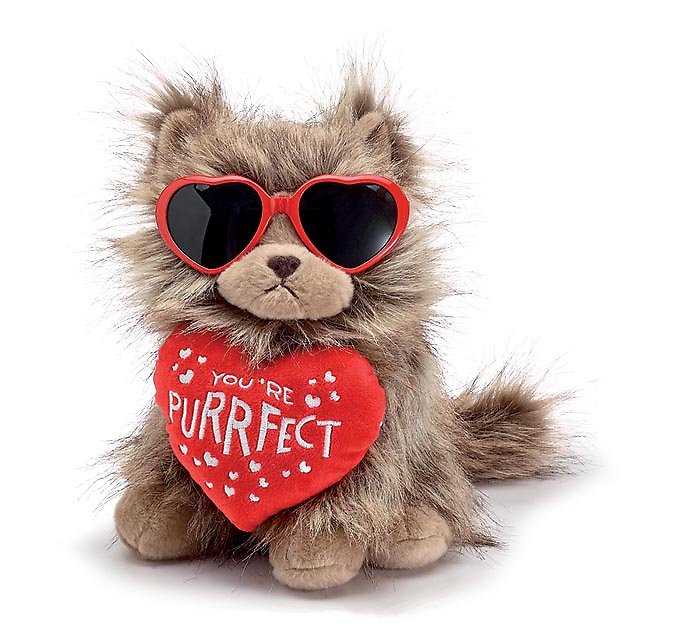 You\'re Purrfect Valentine Cat