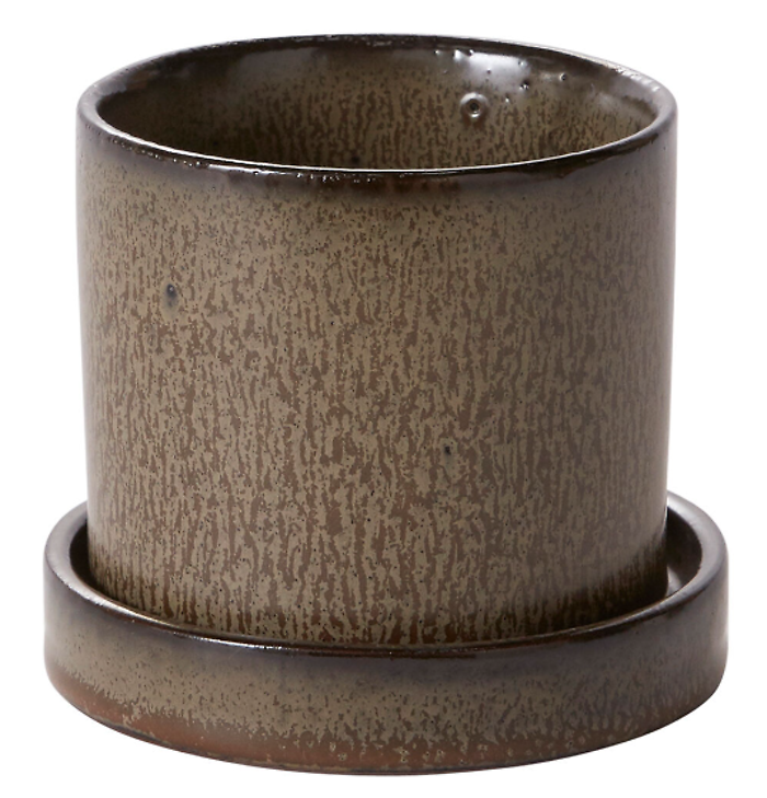 Hawthorne Pot with Saucer Brown 6.5\" x 7\"