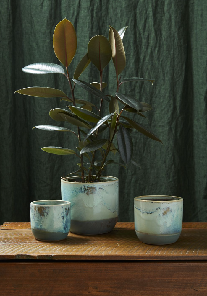 Caribe Planter