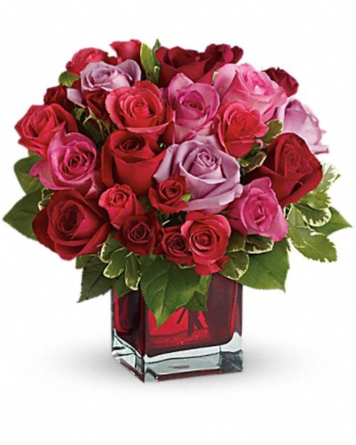VDAY 9