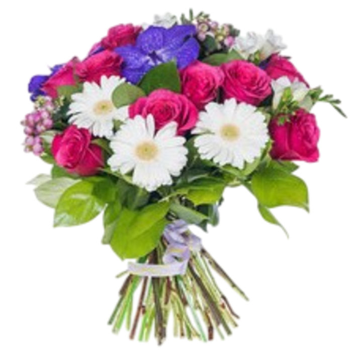 Roses and Daisies