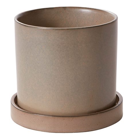 Hawthorne Pot with Saucer Tan 6.5\" x 7\"