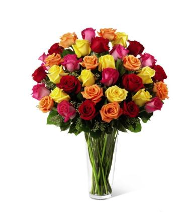 Colorful Roses - Bright