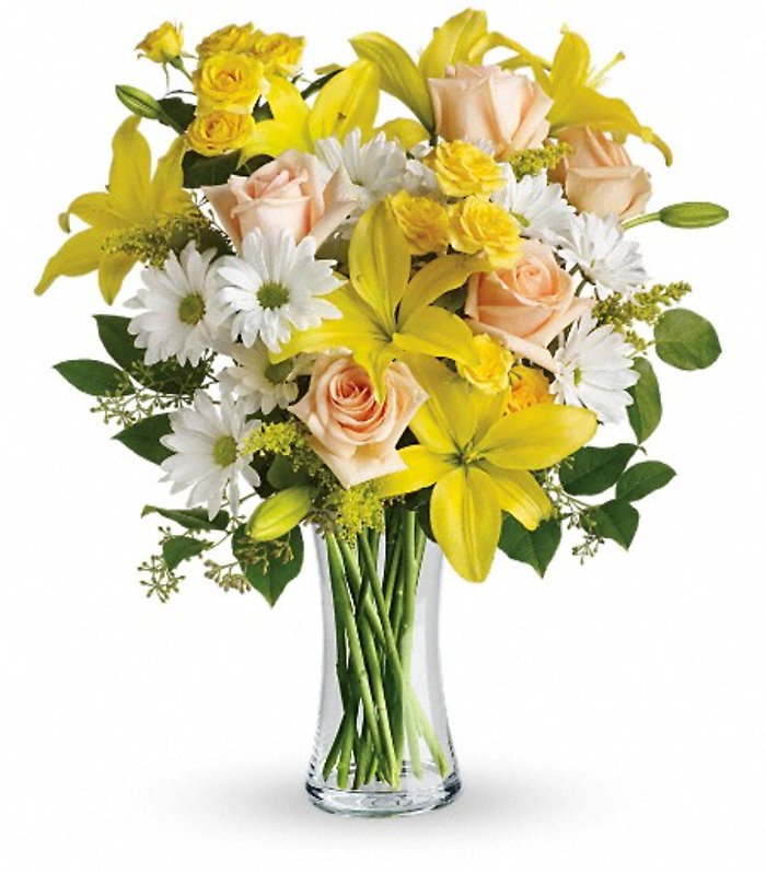 Sunshine & Daisies