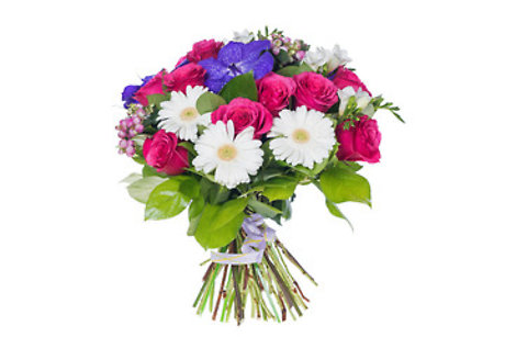 Roses and Daisies