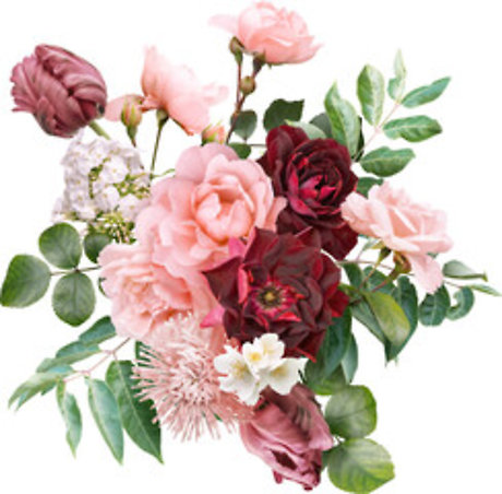 Crimson Blooms