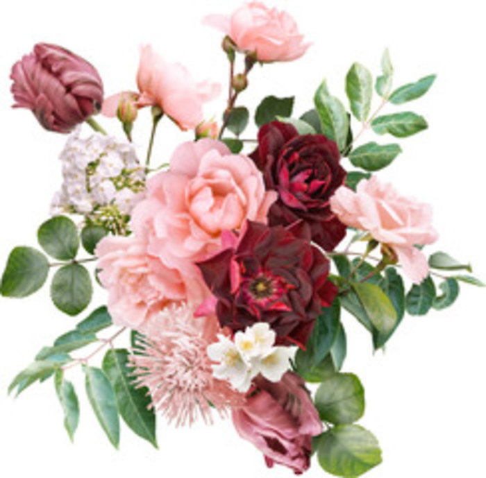 Crimson Blooms